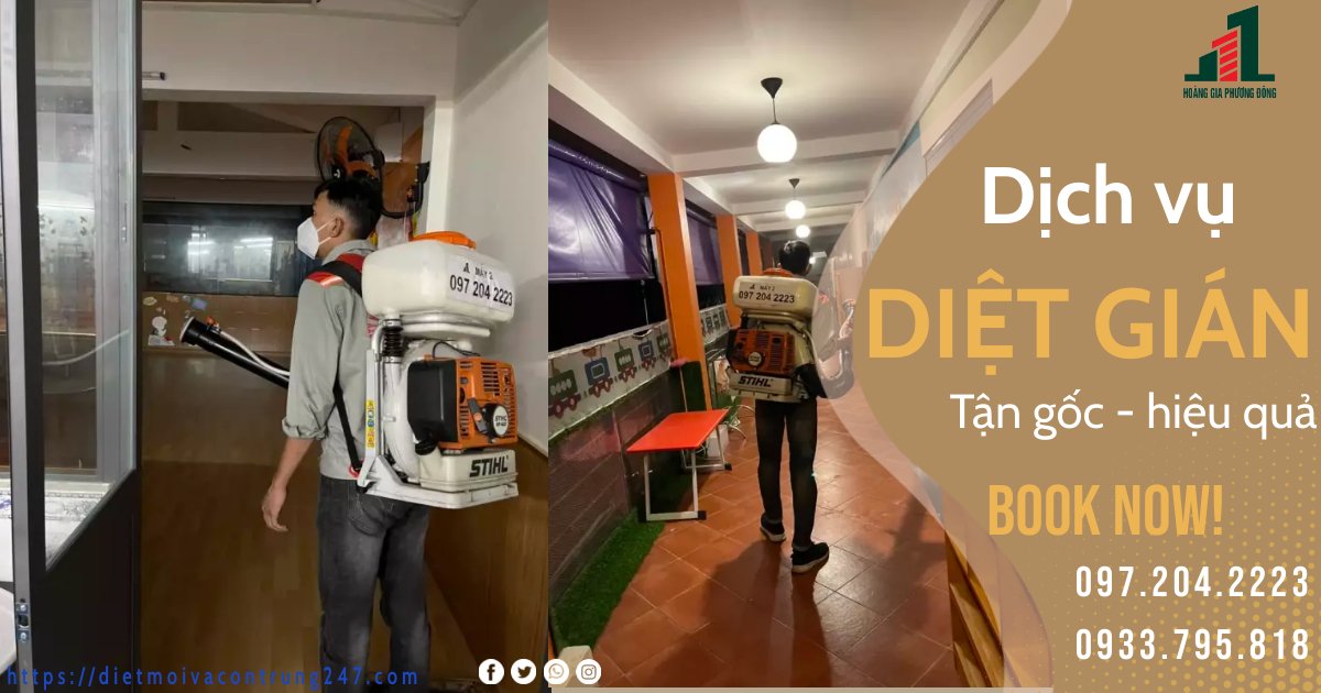 DỊCH VỤ DIỆT GIÁN HIỆU QUẢ